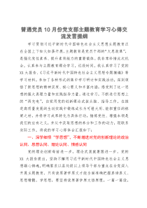 普通党员10月份党支部主题教育学习心得交流发言提纲