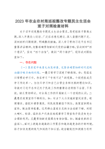 2023年农业农村局巡视整改专题民主生活会班子对照检查材料治疆方略