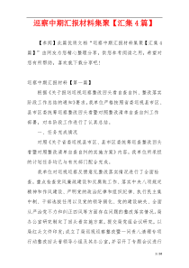 巡察中期汇报材料集聚【汇集4篇】