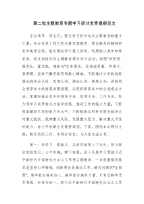 第二批主题教育专题学习研讨发言提纲范文