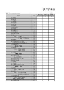 资产负债清查表