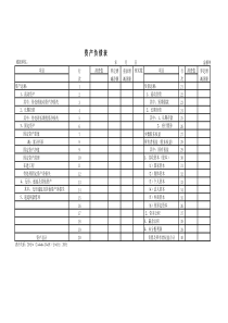 资产负债表11