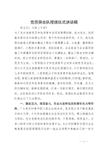 (领导讲话)党员突击队授旗仪式讲话稿