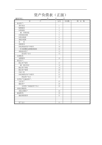 资产负债表（正面）