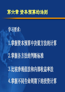 第六章 资本预算的法则