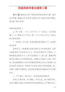 党组织政审意见通用5篇