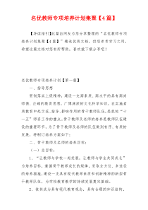 名优教师专项培养计划集聚【4篇】