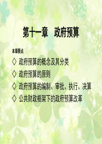 第十一章政府预算