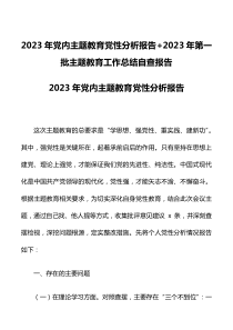 2023年党内主题教育党性分析报告+2023年第一批主题教育工作总结自查报告