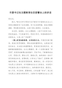 市委书记在主题教育动员部署会上的讲话