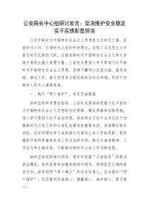 公安局长中心组研讨发言坚决维护安全稳定实干实绩彰显担当