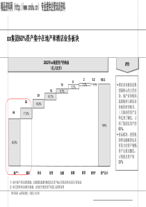 集团资产的分析报告