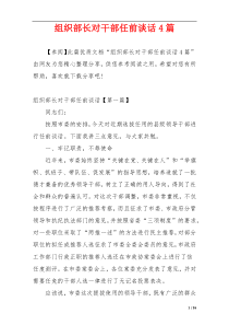 组织部长对干部任前谈话4篇