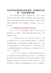 代表市政协经济委员会的发言：加快数字化转型打造发展新引擎