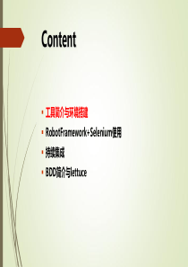 RFS自动化测试培训（PPT110页)