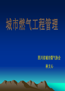 城市燃气工程管理类