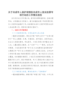 关于未成年人保护和预防未成年人违法犯罪专项行动的工作情况报告