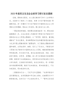 2023年度民主生活会会前学习研讨发言提纲