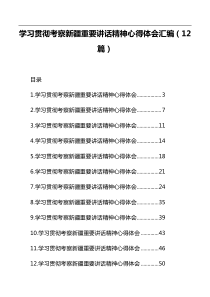 学习贯彻考察新疆重要讲话精神心得体会汇编（12篇）