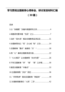 学习贯彻主题教育心得体会、研讨发言材料汇编（30篇）