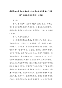 (领导讲话)县领导在全县营商环境建设工作领导小组会议暨深化放管服改革推进工作会议上的讲话