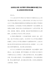 在某党总支第二批开展学习贯彻主题教育专题工作会议上的讲话与党性分析合集