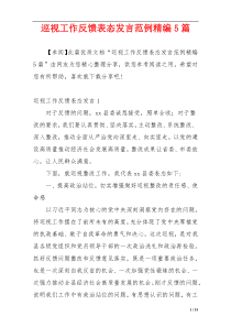 巡视工作反馈表态发言范例精编5篇