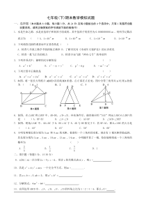 苏教版七年级下期末模拟试卷(数学)(1)[1]