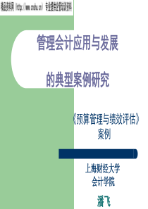 预算管理与绩效评估案例(1)