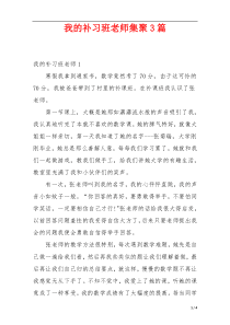 我的补习班老师集聚3篇