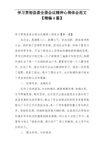 学习贯彻县委全委会议精神心得体会范文【精编4篇】