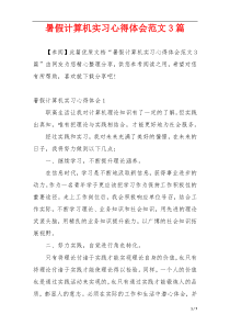 暑假计算机实习心得体会范文3篇