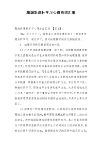 精编新课标学习心得总结汇聚