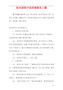 给支部班子成员提意见3篇