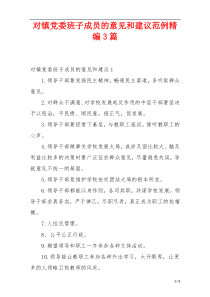 对镇党委班子成员的意见和建议范例精编3篇