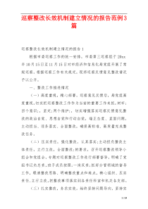 巡察整改长效机制建立情况的报告范例3篇