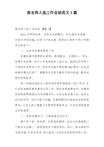 度名师人选工作总结范文3篇