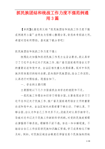 抓民族团结和统战工作力度不强范例通用3篇