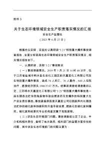 关于生态环境领域安全生产职责落实情况的汇报