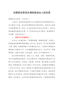 在群团改革项目调研座谈会上的发言