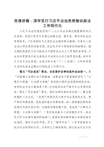 研讨发言：深学笃行习近平法治思想推动政法工作现代化