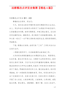 巡察整改点评发言集聚【精选4篇】