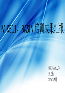 MIKE11BASIN建模教程