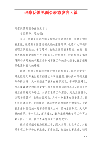 巡察反馈见面会表态发言3篇