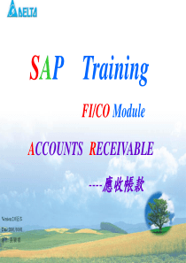 SAP-FI财务-3