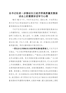 学习习近平总书记在进一步推动长江经济带高质量发展座谈会上的重要讲话心得体会