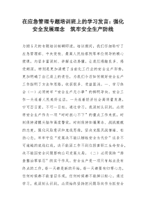 在应急管理专题培训班上的学习发言：强化安全发展理念 筑牢安全生产防线