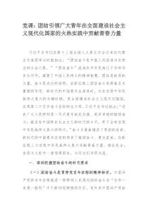 党课：团结引领广大青年在全面建设社会主义现代化国家的火热实践中贡献青春力量