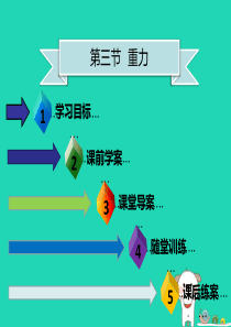 八年级物理下册第七章第三节重力习题课件(新版)新人教版