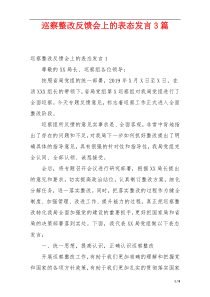 巡察整改反馈会上的表态发言3篇